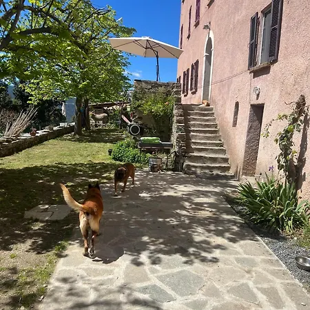 Casa Rosa Frühstückspension Gavignano