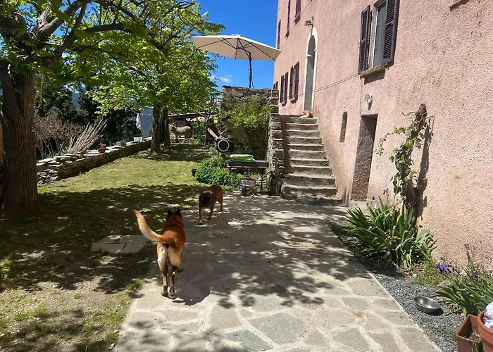 Casa Rosa Frühstückspension Gavignano