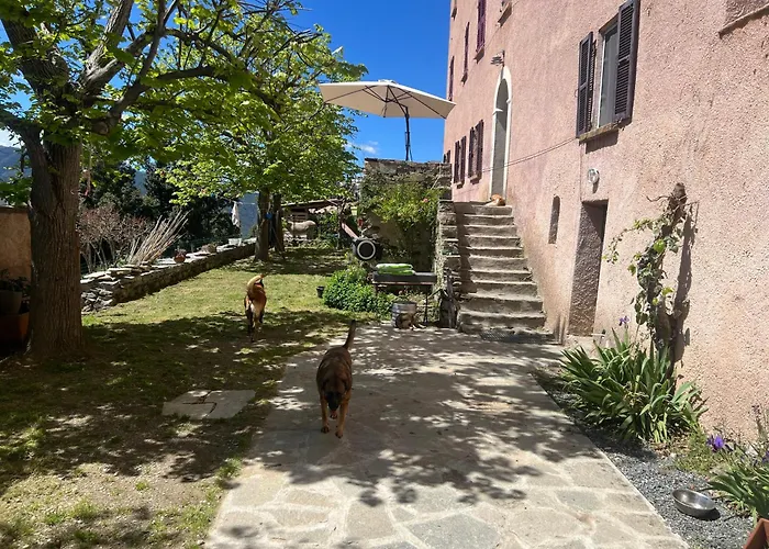 Frühstückspension Casa Rosa Gavignano