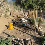 Bed & Breakfast Casa Rosa Gavignano