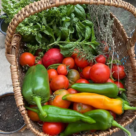 לינה וארוחת בוקר Casa Rosa 3*