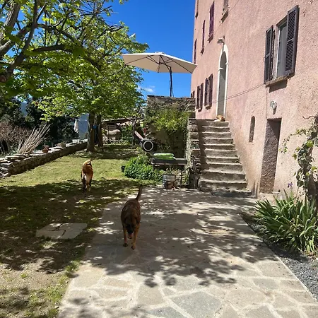 לינה וארוחת בוקר Casa Rosa Gavignano