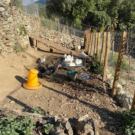 Bed and Breakfast Casa Rosa Gavignano