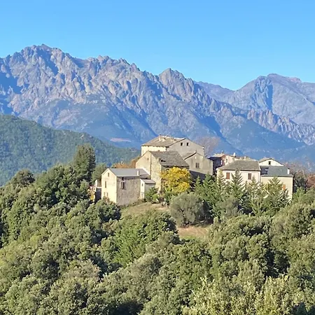 Casa Rosa B&B
