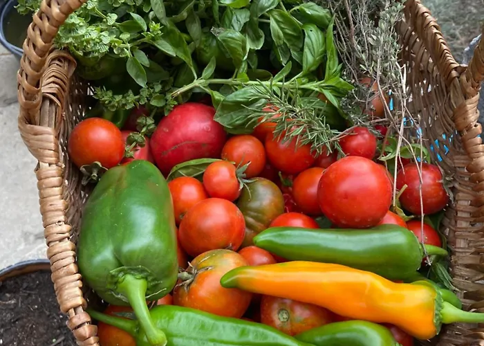 Couette-café Casa Rosa 3*