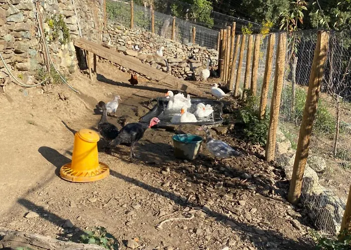 Couette-café Casa Rosa Gavignano