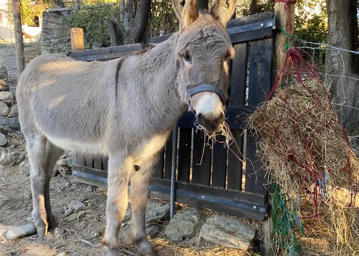 Couette-café Casa Rosa