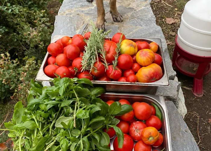 Couette-café Casa Rosa Gavignano